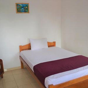 Chambre Standarde Lit King-Size